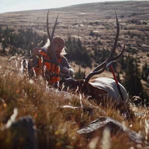 Meet your Posher, Nick